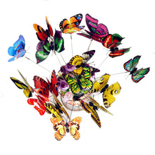 Butterfly (test webhook)  abc 123