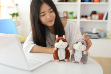 Promotion 15cm Lovely Talking Hamster