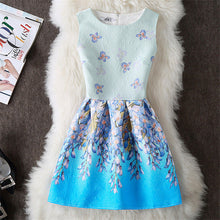 Summer Style 2018 Fashion A-Line Women Maxi Evening Party Casual Vintage Dresses Printing Sleeveless Vestidos De Festa Dress 153